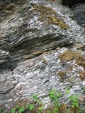 Image for Condrey Mountain Schist Type Section 