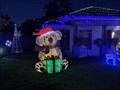 Image for Christmas Lights and Decorations, Wilton, NSW, Australia