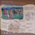 Image for The Lolo Trail
