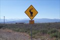 Image for Elk Crossing near Blanca, Colorado