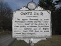 Image for Gantz Sand