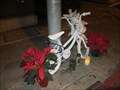 Image for Leyla Beban Bike - Redwood City, CA