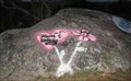 Image for Graffiti on a rock
