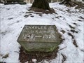 Image for Charles Belknap - United States Congressman - Greenwood Cemetery - Grand Rapids, Michigan USA