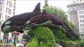 Image for Orca Topiary