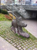 Image for Wild Boar - Olten, SO, Switzerland