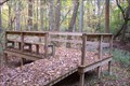Image for Cypress Scout Trail Observation Deck