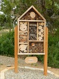 Image for Canyon of the Ancients Visitor Center Insect House - Dolores, Colorado