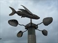 Image for Paua and the Flying Fish - Wellington, New Zealand