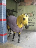 Image for Selaria Querência Gaúcha horse - Sao Paulo, Brazil