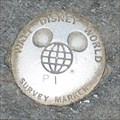 Image for Disney MGM--One Man's Dream