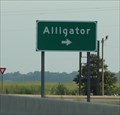 Image for Alligator -- US 61, nr Alligator MS
