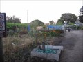 Image for Beach Flats Community Garden - Santa Cruz, CA