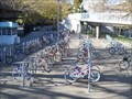 Image for California State University Sacramento -- bicycle tenders