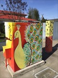 Image for Peacocks and Sunsets Utility Box - San Jose, California