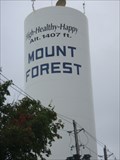 Image for Mount Forest Water Tower, Mount Forest, Ontario