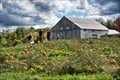 Image for CLEARVIEW FARM - Sterling, MA