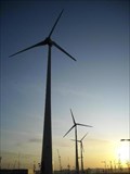 Image for William Dalton's windmill