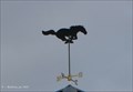 Image for Mustang Weathervane on DPW Salt Shed - Norwood, MA
