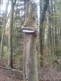 Image for Sign Eating Tree - Möhlin, AG, Switzerland