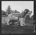 Image for Cottage Grove Oregon - 1939 Hot Dog Stand