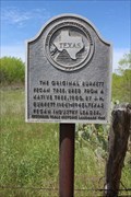 Image for Site of the ORIGINAL Burkett Pecan Tree - Putnam, TX