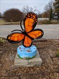 Image for Botanic Garden Butterfly - Stillwater, OK