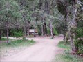 Image for Free Camping in Lake Fork Canyon