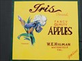Image for Iris Apple Label - Watsonville, California