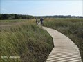 Image for Boardwalks - Wellfleet Bay Massachusetts Audubon Wildlife Sanctuary - Wellfleet, MA