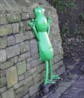 Image for Skater Frog - Saltaire