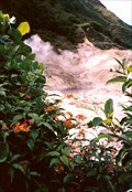 Image for Diamond Falls Botanical Gardens - Soufrière, Saint Lucia