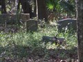 Image for Sunset Memorial Cemetery - Jacksonville, FL