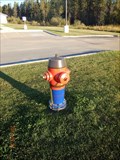 Image for Royal Canadian Mounted Police Hydrant - Fox Creek, Alberta