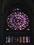 Image for Les vitraux de Notre Dame de Reims