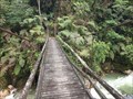 Image for Podocarpus National Park (1) - Zamora, Ecuador