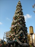 Image for California Adventure Christmas - Anaheim, CA