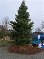 Image for Christmas Tree Blijdorp Zoo - Rotterdam - The Netherlands
