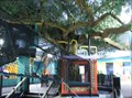 Image for Treehouse - Building For Kids - Appleton, WI