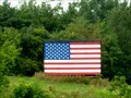 Image for Neon American Flag - Colrain, MA