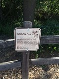 Image for Poison Oak - Lebec, CA