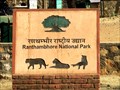 Image for Ranthambore National Park - Sway Madhopur, Rajasthan, India