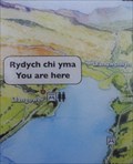 Image for Llyn Tegid (Bala Lake) Llangywer, Gwynedd, Wales