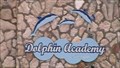 Image for Dolphin Academy Curacao/Curacao Sea Aquarium