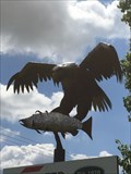 Image for Bald Eagle catches a fish - Jackson, MO.