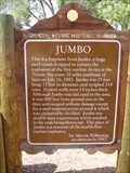 Image for Jumbo