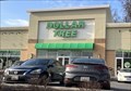 Image for Dollar Tree - Route 1 - Baltimore, MD