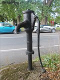 Image for Hand Operated Pump - Shorne - Kent - UK
