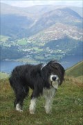 Image for Place Fell.