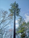 Image for Little Sand Mountain Cell Tower - Trussville, Alabama